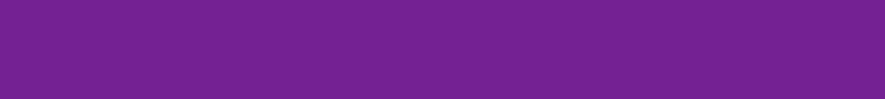 Junior Purple Belt Requirements
